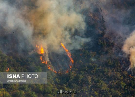 بی توجهی به فرصت طلایی اطفا، علت گسترش آتش سوزی های جنگلی