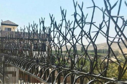 حفاظ شاخ گوزنی