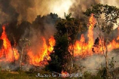 پایش هوشمند آتشسوزی در جنگل گلستان با اینترنت اشیا