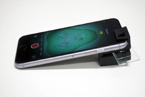 تبدیل تلفن همراه به میکروسکوپ فلورسنت با ۵۰ دلار