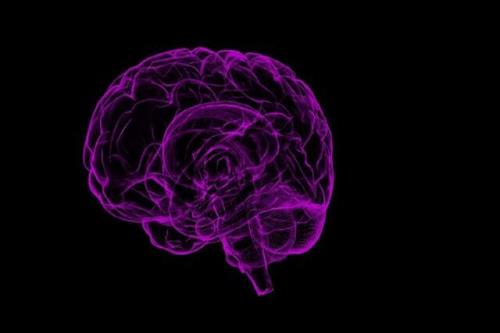 آیا مغز قادر به ترمیم خود است؟