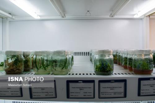 نشست هم اندیشی یاوران حفظ ذخایر ژنتیکی و زیستی