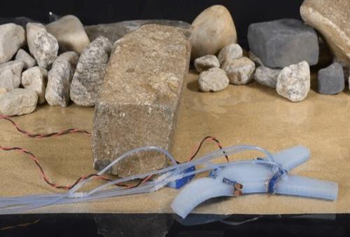 رباتی که اعضای خودرا قطع می کند و باردیگر می چسباند