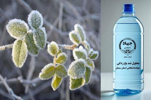 رفع معضل سرمازدگی درختان با محصول دانش بنیان جهاددانشگاهی سمنان