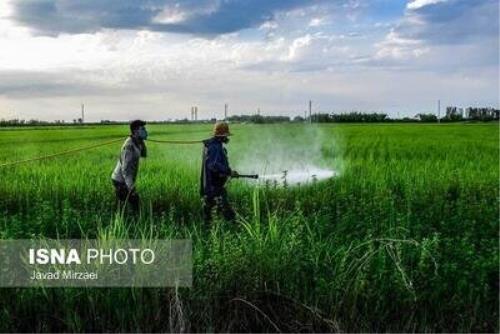 رونمایی از پنج آفت کش گیاهی جدید جهاددانشگاهی