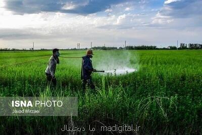 رونمایی از پنج آفت کش گیاهی جدید جهاددانشگاهی