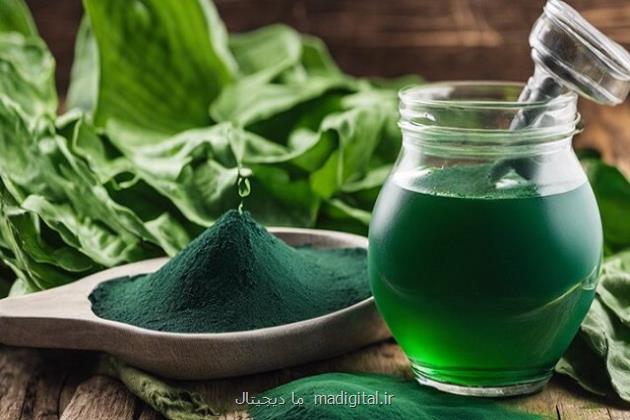 پژوهش بر روی جلبک اسپیرولینا برای درمان کم خونی از جانب جهاددانشگاهی