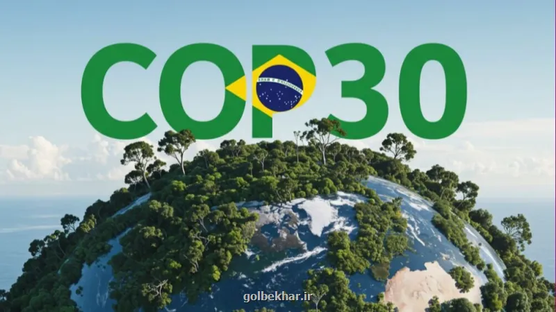 برزیل گیت و بحران اعتبار محیط زیستی ایران برزیل را می خریم یا آبروی محیط زیست را می فروشیم؟