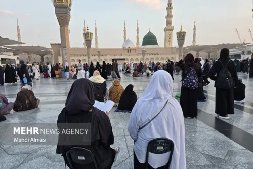 آغاز نام نویسی وام ۴۰ میلیون تومانی عمره دانشجویی