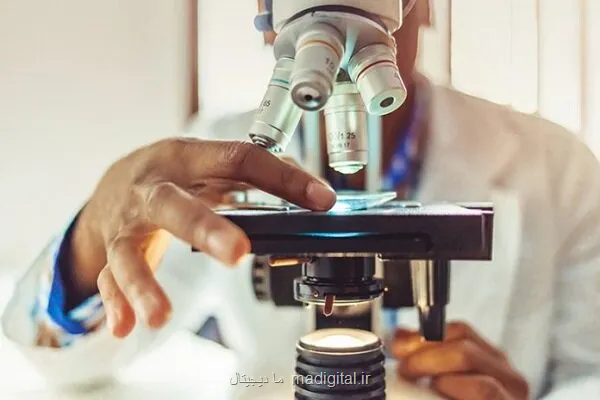 ایجاد دوره دکتری ۲ساله پژوهش محور حمایت از آزمایشگاه تحقیقاتی اساتید