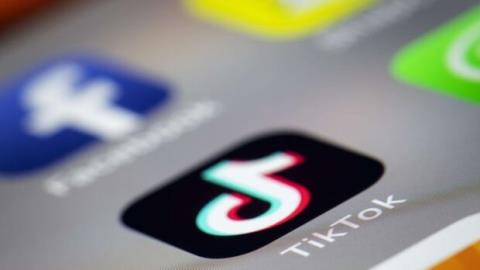 تیك تاك دومین اپلیكیشن پر دانلود جهان شد